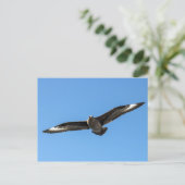 Südpolarskua fliegen postkarte (Stehend Vorderseite)