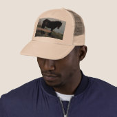 Südpony Devons Dartmoor nahe Bench.3. Truckerkappe (Beispiel)