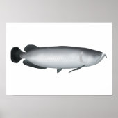 Südsaratoga Poster (Vorne)