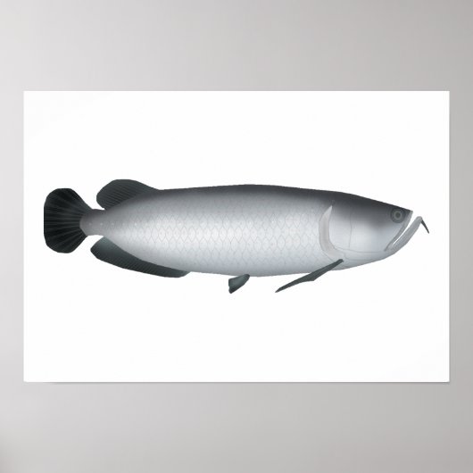 Südsaratoga Poster (Vorne)