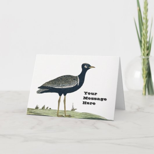 Südschwarzer Korhaan Card Jigsaw Birds Karte (Vorderseite)