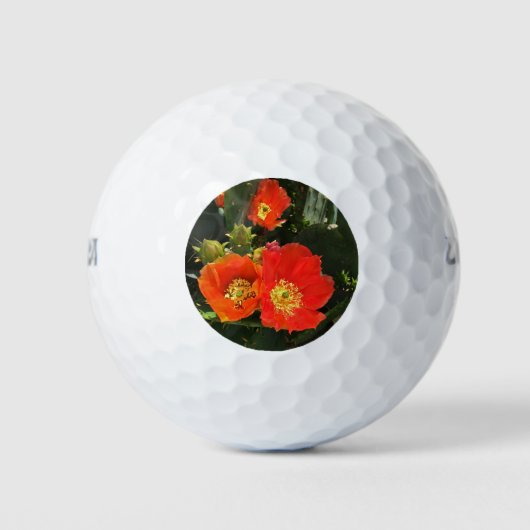 Südwest Cactus Blume Foto Bright Red Floral Golfball (Vorderseite)