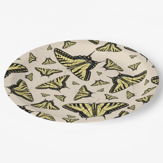 Südwest-Gelbe Frack-Schmetterlinge überall Pappteller (Schrägansicht)