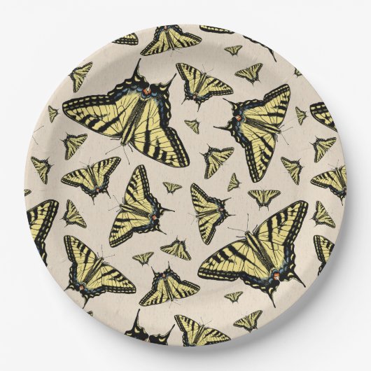 Südwest-Gelbe Frack-Schmetterlinge überall Pappteller (Vorderseite)