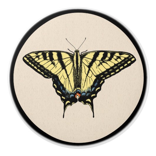 Südwest-Gelbes Frack Butterfly Keramikknauf (Vorderseite)