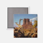 Südwest Monument Valley Wüstenszene Magnet (Vorderseite/Rückseite)