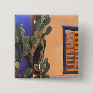 Südwestamerikanischer Kaktus (Opuntia dejecta) und Button
