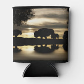 Südwestbaffalo im Sonnenuntergang kann kühler werd Dosenkühler (Vorderseite)