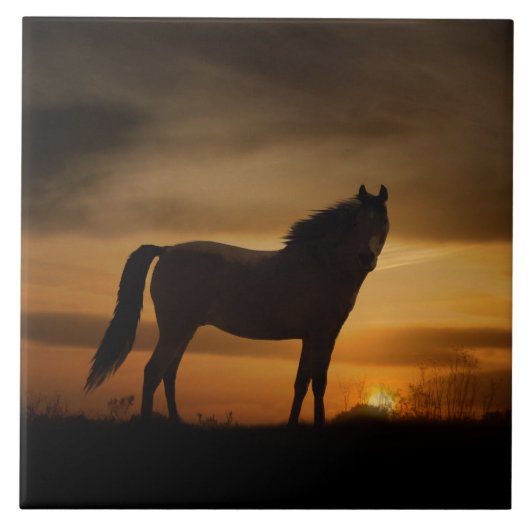 Südwesten von Ross und Sun Art Tile Fliese (Vorderseite)