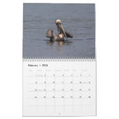 Südwestflorida Wildlife 2026 Kalender (Feb 2026)