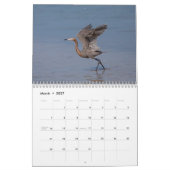 Südwestflorida Wildlife 2026 Kalender (Mär 2027)