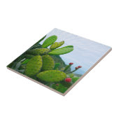 Südwestkaktus Prickly Birne Sukkulente Wüste Fliese (Seite)