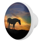 Südwestlich von Sunset Horse Knobs and Puls Keramikknauf (Rechts)