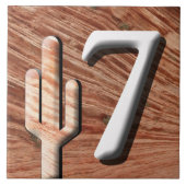 Südwestliche Adressnummer (Anfrage) Fliese (Vorderseite)