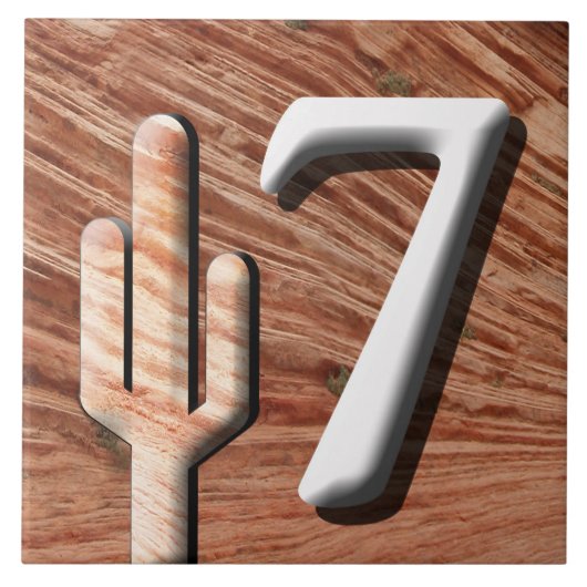 Südwestliche Adressnummer (Anfrage) Fliese (Vorderseite)