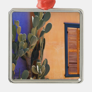 Südwestliche Kakteen (Opuntia dejecta) und Silbernes Ornament