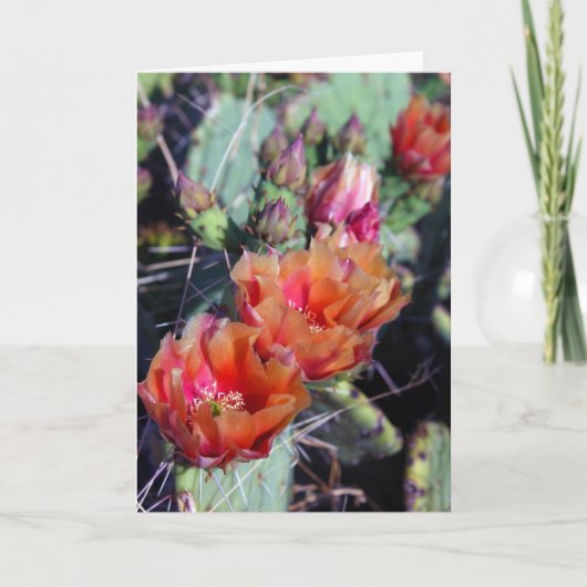 Südwestliche Weihnachtskarte Feiertagskarte (Vorderseite)