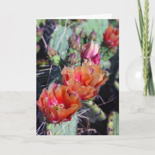 Südwestliche Weihnachtskarte Feiertagskarte