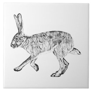 Südwestlicher Jackrabbit Feder- und Tintenzeichnu Fliese