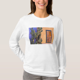Südwestlicher Kaktus (Opuntia dejecta) und T-Shirt