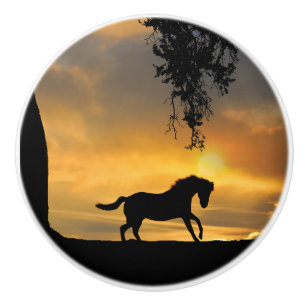 Südwestliches Galloping Pferd Land Keramikknauf