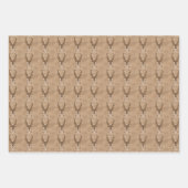 Südwestpronghorn Antelopes Geometrisches Muster Geschenkpapier Set (Vorderseite 2)