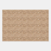 Südwestpronghorn Antelopes Geometrisches Muster Geschenkpapier Set (Vorderseite)