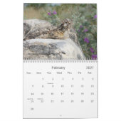 Südwesttexas-Bilder 2016 Kalender (Feb 2027)