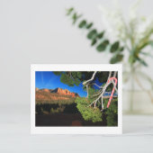 Südwestweihnachten Feiertagspostkarte (Stehend Vorderseite)