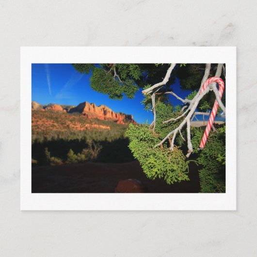 Südwestweihnachten Feiertagspostkarte (Vorderseite)