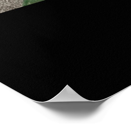 Südwestwüste Arizona Cactus Collage Poster (Ecke)