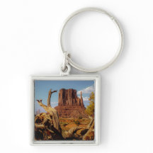 Südwestwüste Monument Valley Arizona
