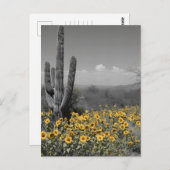 Südwestwüste Saguaro Kaktus und Sonnenblumen Postkarte (Vorne/Hinten)