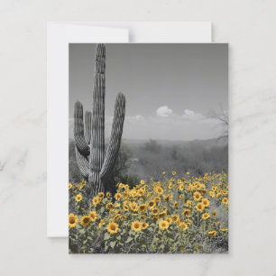 Südwestwüste Saguaro Kaktus und Sonnenblumen Postkarte
