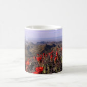 Südwind, Kakteen, Big Bend Nationalpark Kaffeetasse (Mittel)