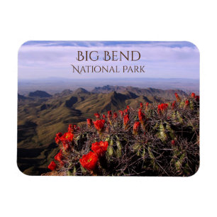 Südwind, Kakteen, Big Bend Nationalpark Magnet