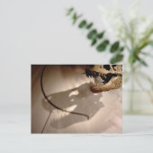 Sue's Shadow Postkarte (Stehend Vorderseite)