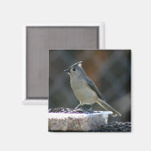 Suet Supper Magnet (Vorderseite/Rückseite)