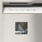 Suet Supper Magnet (In Situ (Geschirrspüler))
