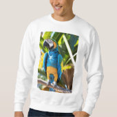 Suéter Básico Masculino Arara Azul Sweatshirt (Vorderseite)
