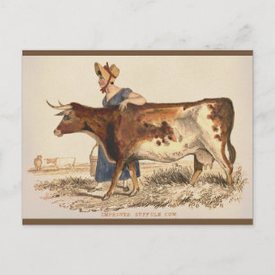 Suffolk-Kuh - Rustikale Vintage-Landschaftskunst i Postkarte