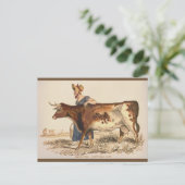 Suffolk Kuh - Rustikales Vintages Landhaus Kunst Postkarte (Stehend Vorderseite)