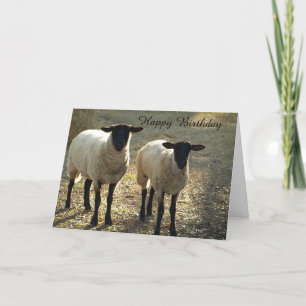 Suffolk-Schaf Alles Gute zum Geburtstag von uns an Karte