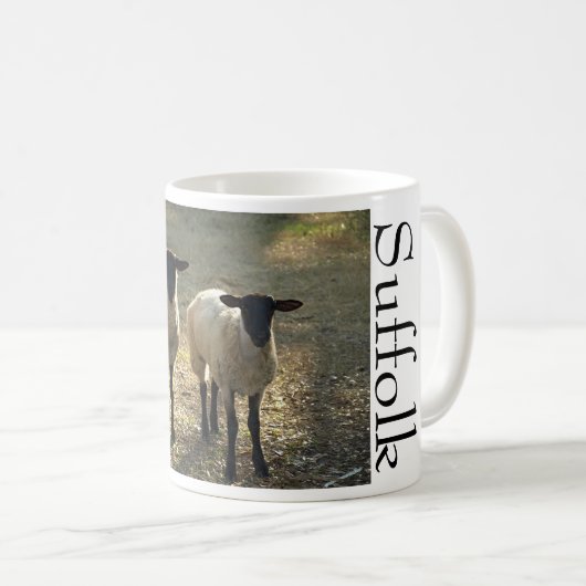 Suffolk-Schafe im Sonnenlicht Kaffeetasse (VorderseiteRechts)