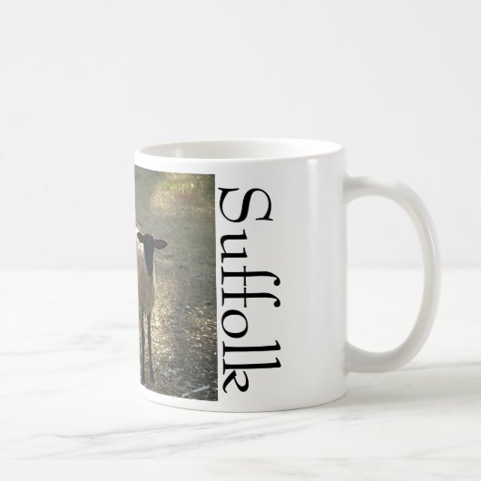 Suffolk-Schafe im Sonnenlicht Kaffeetasse (Rechts)
