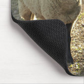 Suffolk Sheep Late Day Sunshine Barnyard Pasta Mousepad (Ecke)