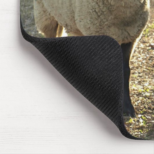 Suffolk Sheep Late Day Sunshine Barnyard Pasta Mousepad (Ecke)