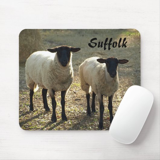 Suffolk Sheep Late Day Sunshine Barnyard Pasta Mousepad (Mit Mouse)