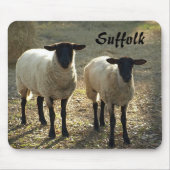 Suffolk Sheep Late Day Sunshine Barnyard Pasta Mousepad (Vorne)