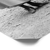 Suffragette Pickets: 1917 Poster (Ecke)